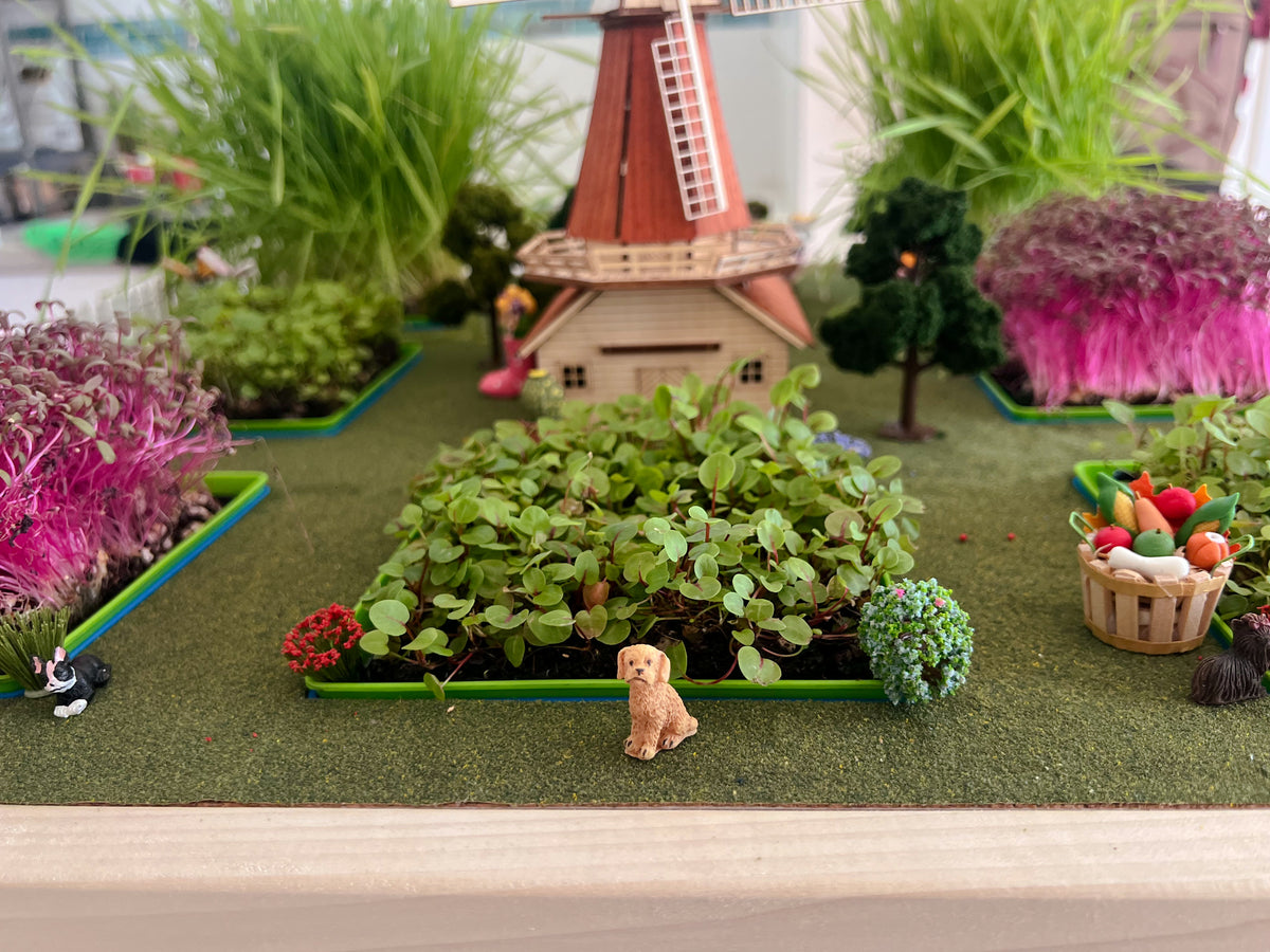 Desktop Farm Kit