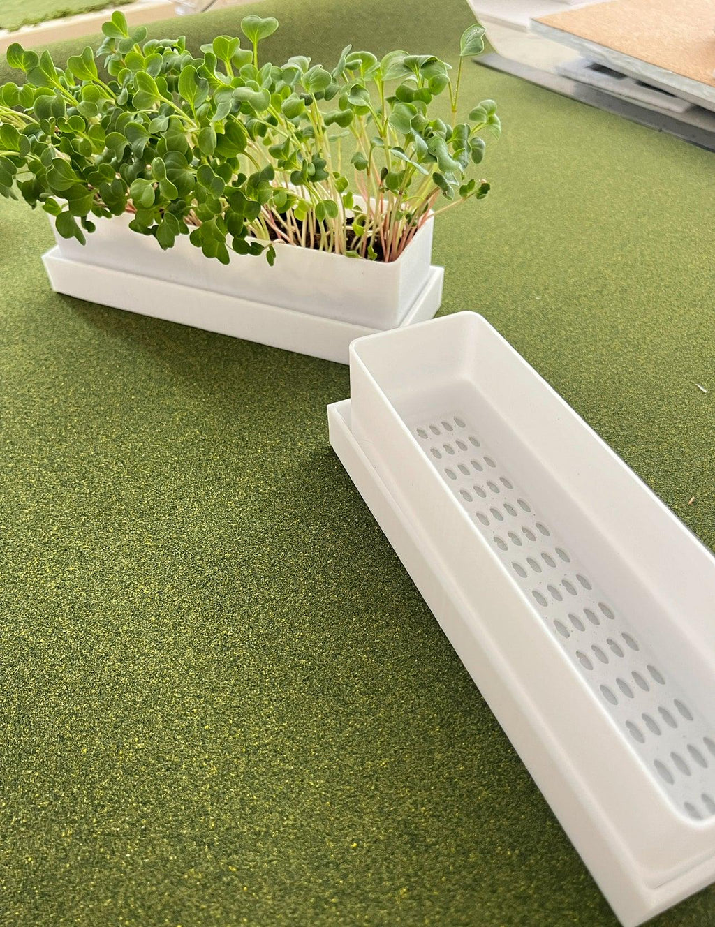 Windowsill Planter Microgreens Kit
